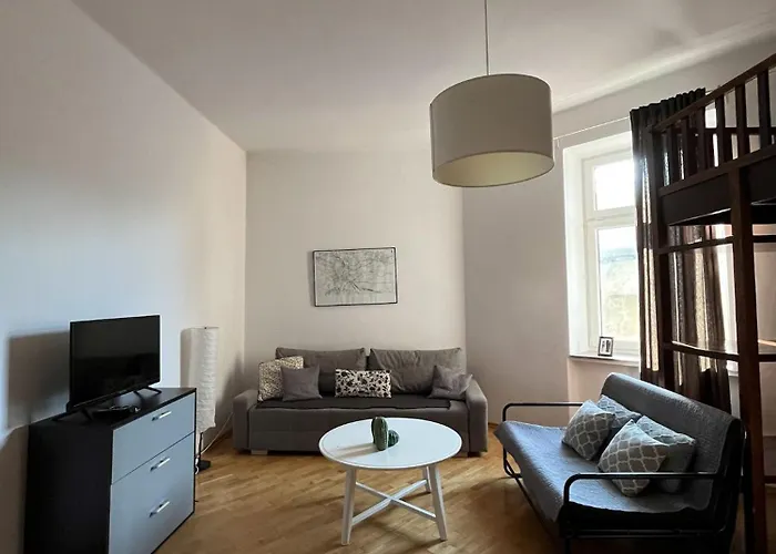 Spacious Downtown Apartment