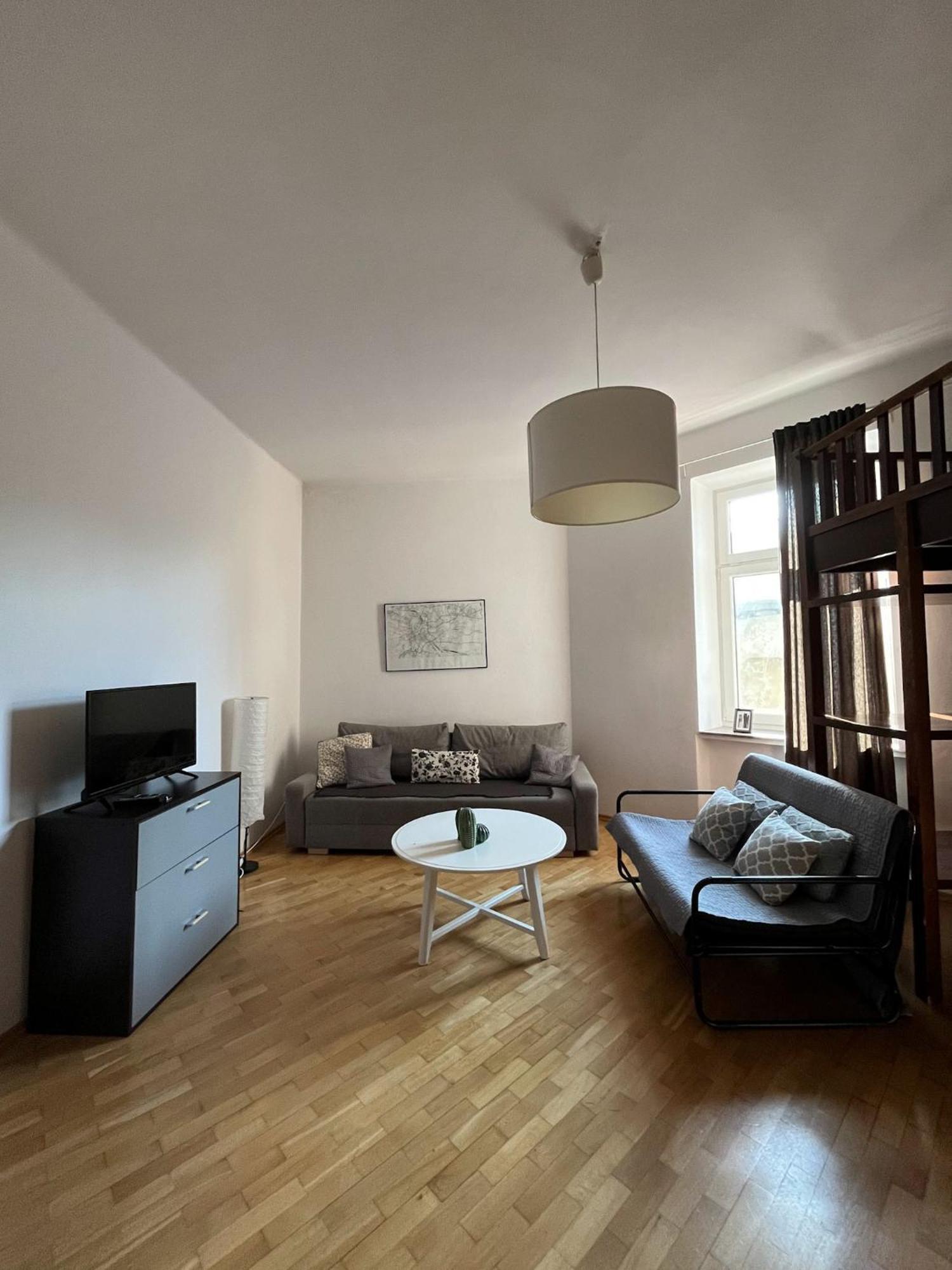 Spacious Downtown Apartament