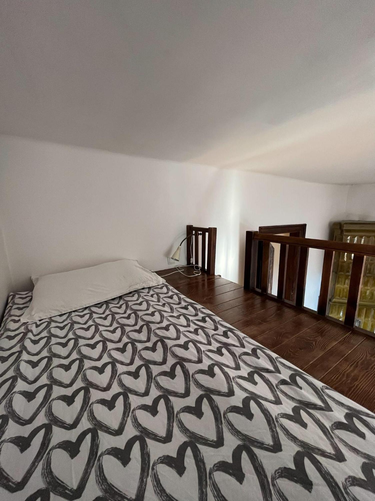 Apartament Spacious Downtown