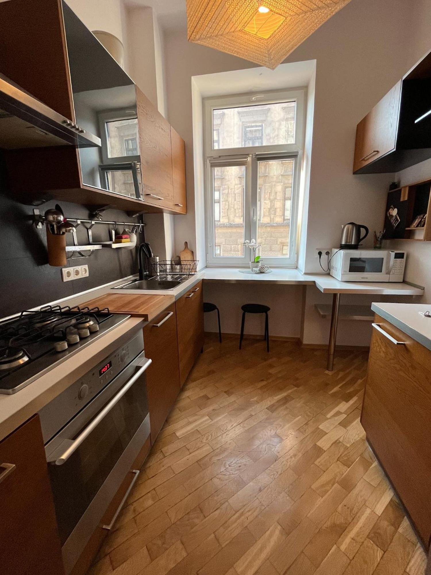 Spacious Downtown Apartment